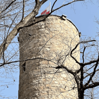 Borbergturm (König-Albert-Turm)